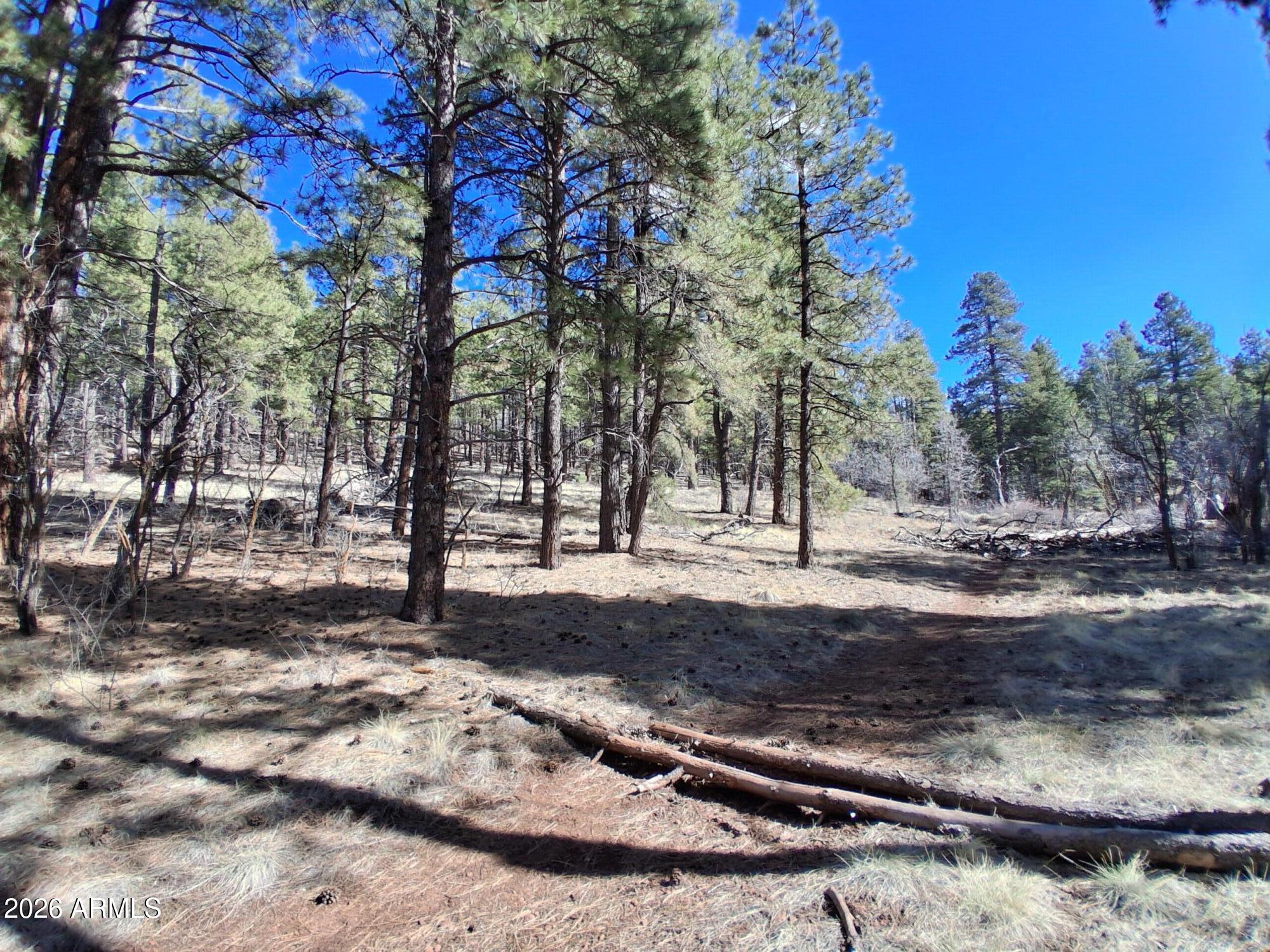 13696 Kings Deer Road Parks, AZ 86018 - Photo 15 of 32 a view of a backyard with trees