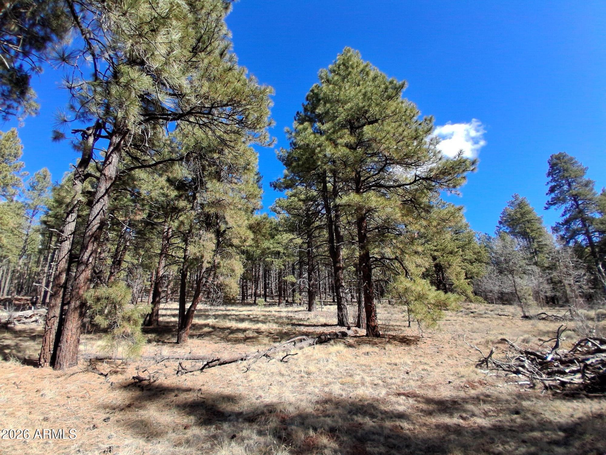 13696 Kings Deer Road Parks, AZ 86018 - Photo 18 of 32 a view of a covered with snow in the background