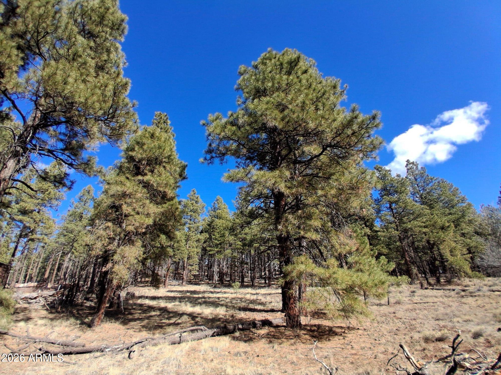 13696 Kings Deer Road Parks, AZ 86018 - Photo 20 of 32 a view of a house with a yard