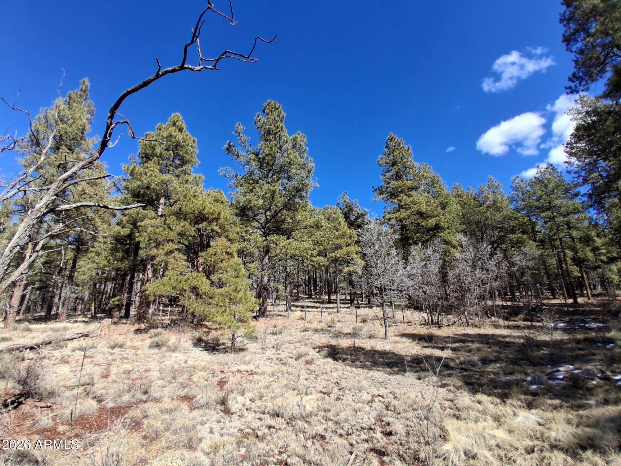 13696 Kings Deer Road Parks, AZ 86018 - Photo 22 of 32 a view of a yard