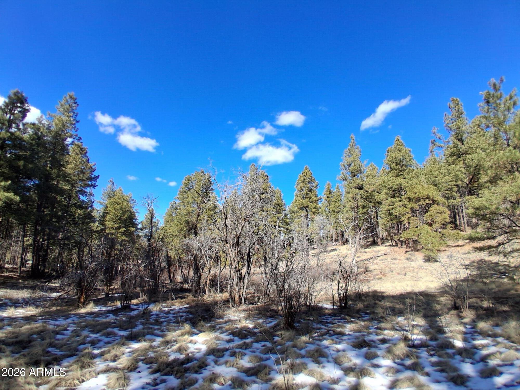 13696 Kings Deer Road Parks, AZ 86018 - Photo 24 of 32 a view of a yard with a tree