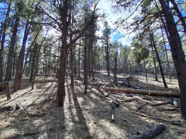 a view of outdoor space with lots of trees