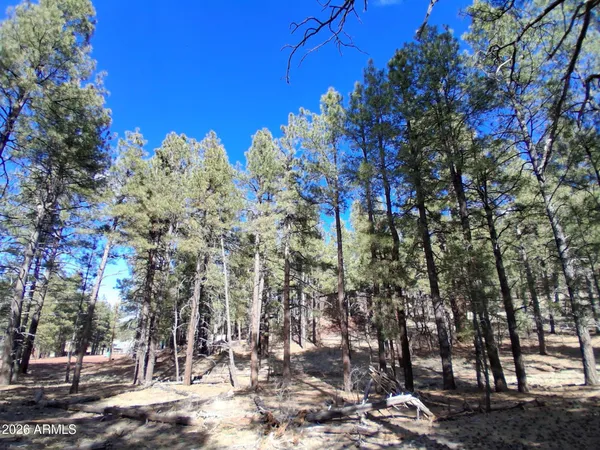 a view of outdoor space with trees