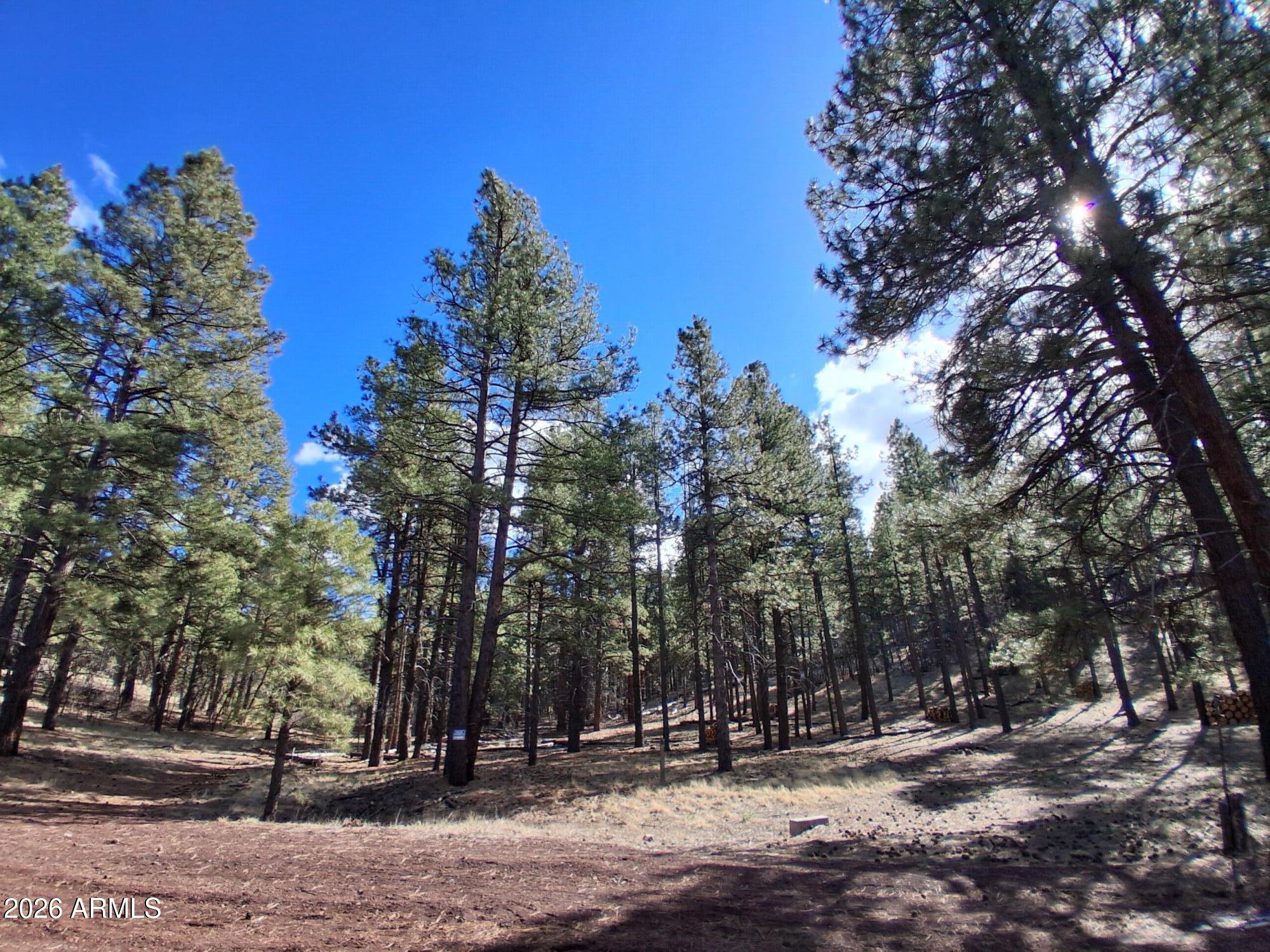 13696 Kings Deer Road Parks, AZ 86018 - Photo 28 of 32 13696 E KINGS DEER RD