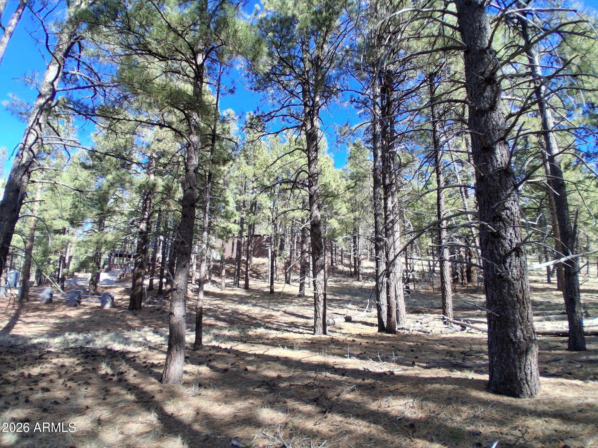 13696 Kings Deer Road Parks, AZ 86018 - Photo 29 of 32 13696 E KINGS DEER RD