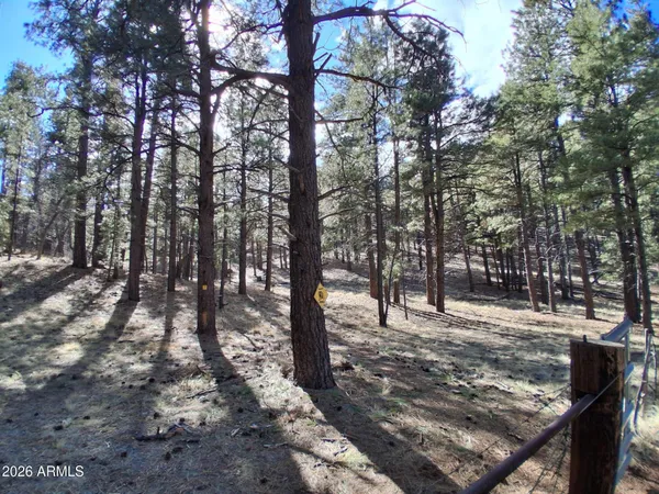 $329,900 | 13696 Kings Deer Road, Parks, AZ 86018