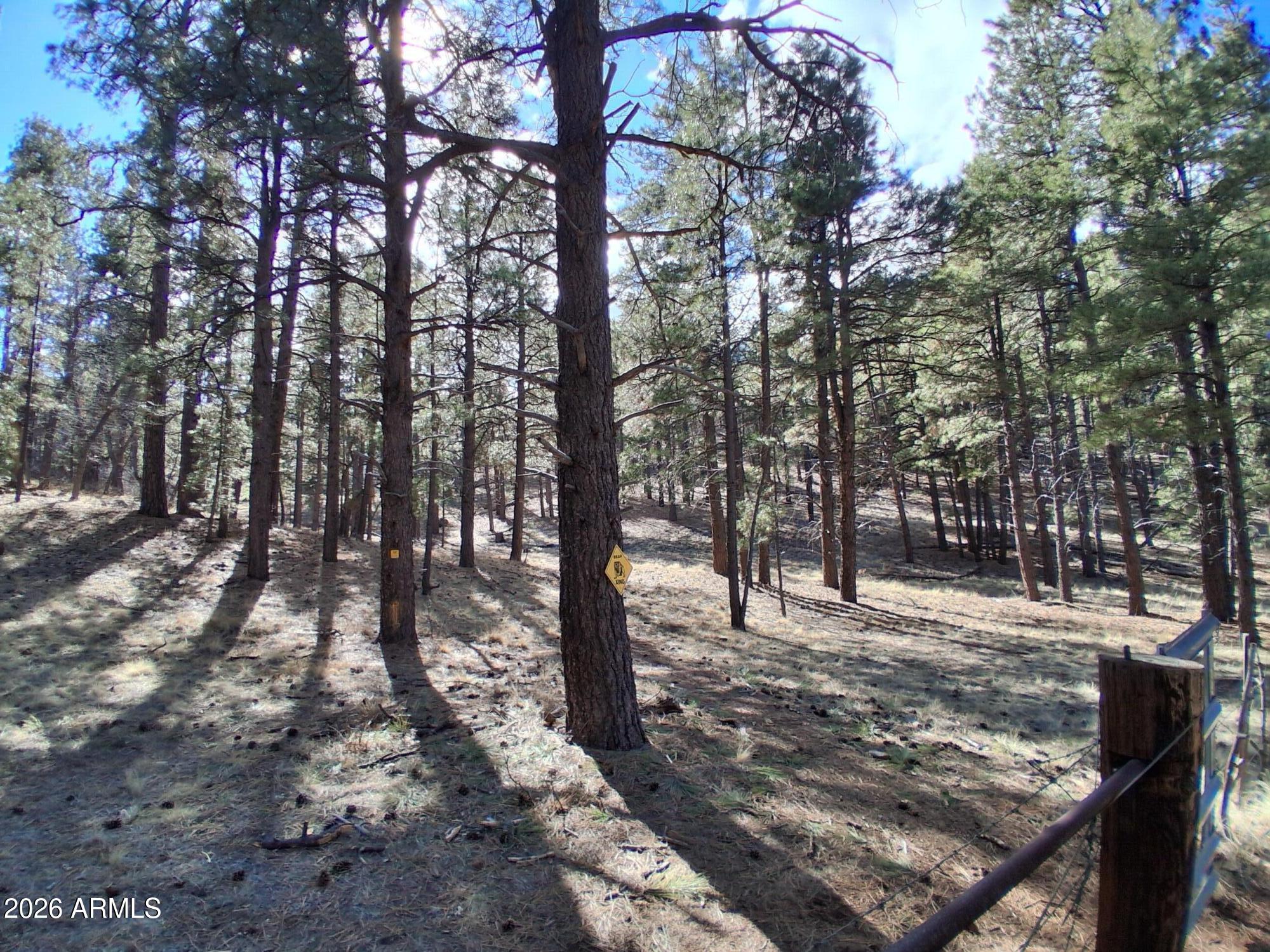13696 Kings Deer Road Parks, AZ 86018 - Photo 30 of 32 a view of a forest filled with trees