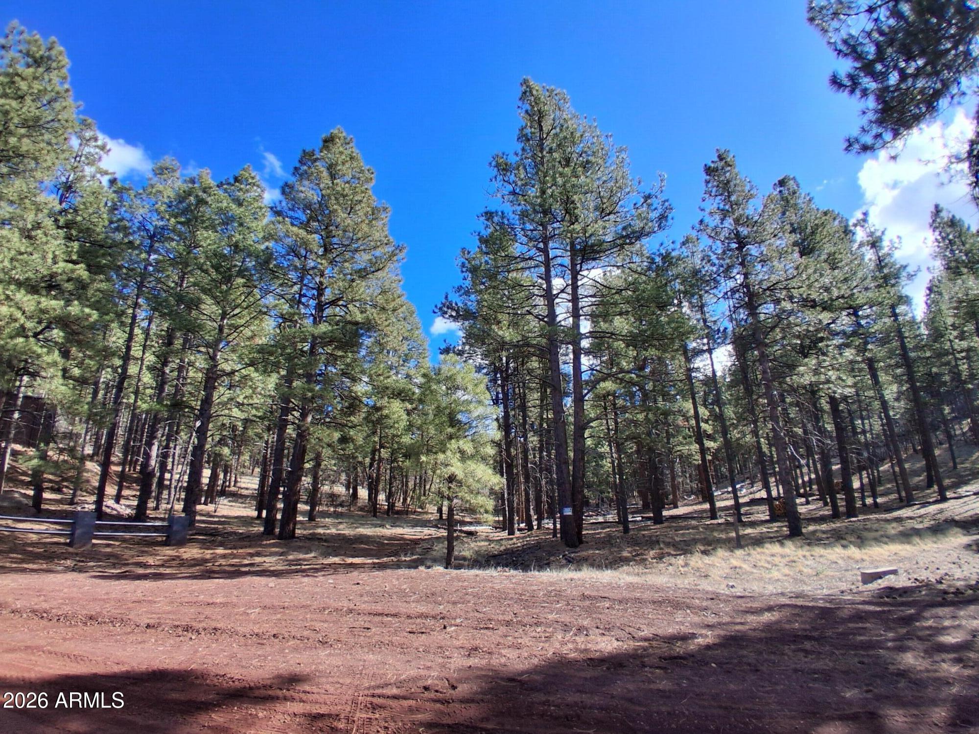 13696 Kings Deer Road Parks, AZ 86018 - Photo 7 of 32 a view of a yard with a tree
