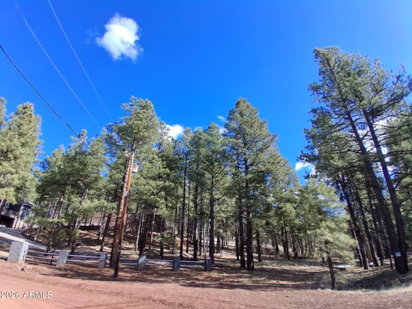 a view of outdoor space with lots of trees