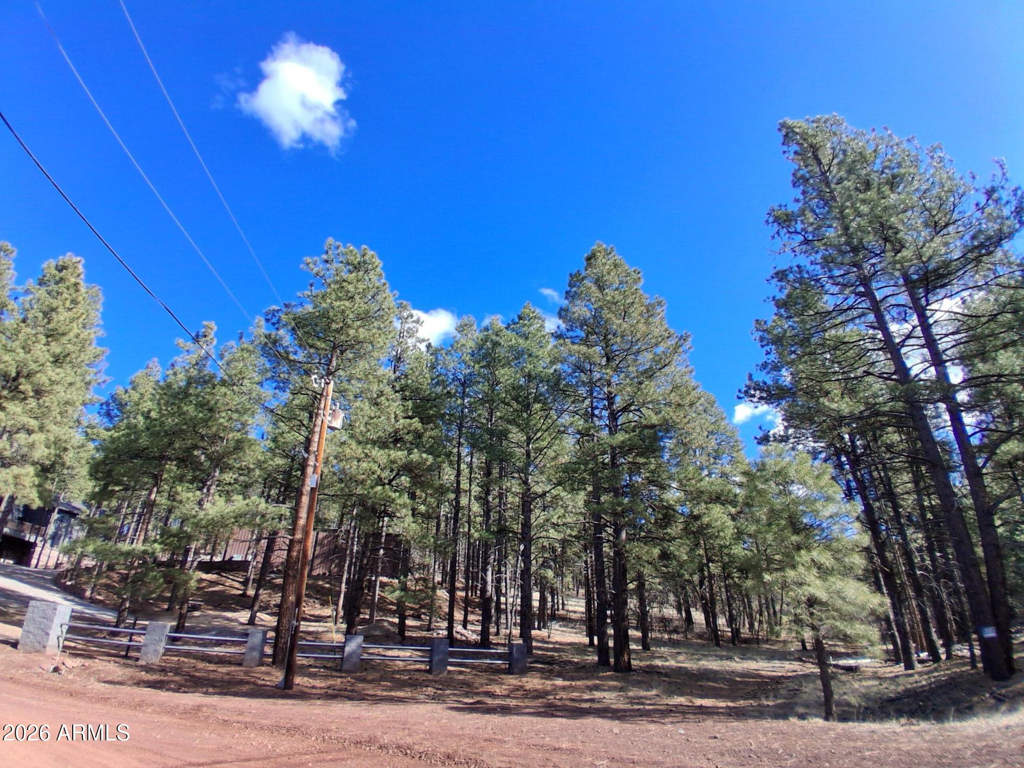 13696 Kings Deer Road Parks, AZ 86018 - Photo 8 of 32 a view of a yard with a house
