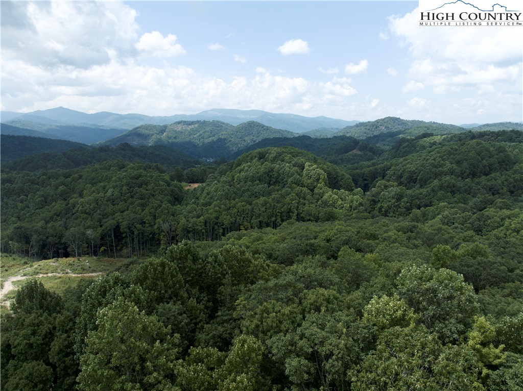 329 Maplewood Circle Boone, NC 28607 - Photo 3 of 46 a view of a city and mountains