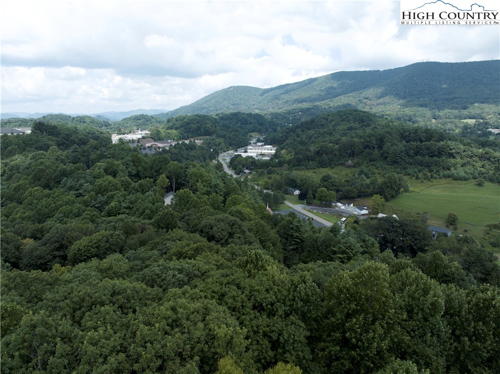 329 Maplewood Circle Boone, NC 28607 - Photo 42 of 46 a view of a city with lush green forest