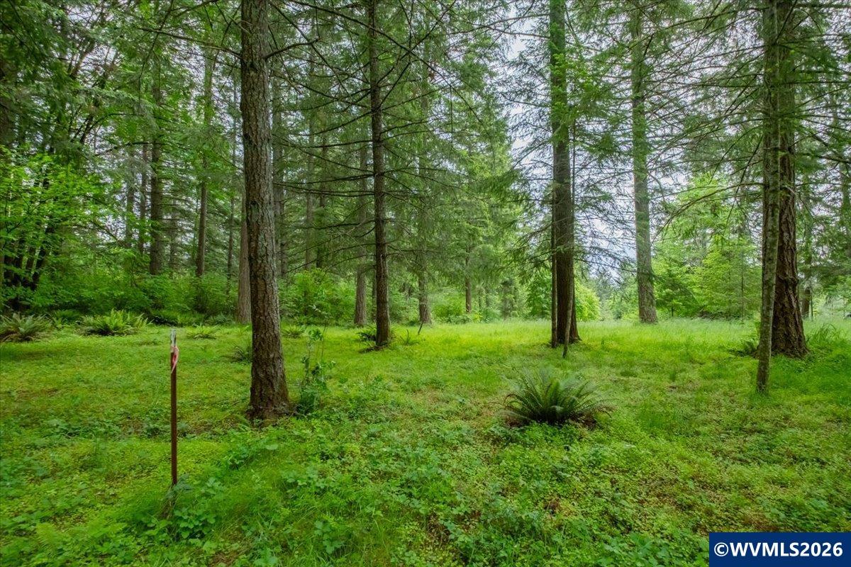 0057485 Next To 40587 Baptist Church Road Lebanon, OR 97355 - Photo 10 of 38