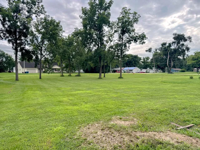 a view of a park with tree s