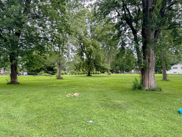 a view of a park with large trees
