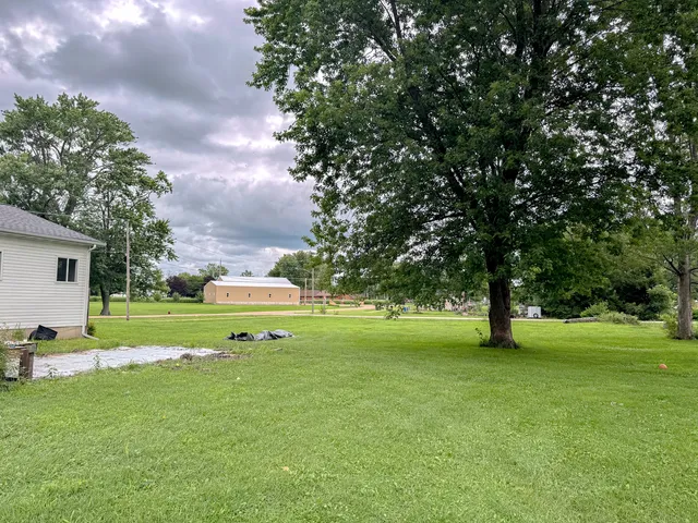 a park with lots of trees