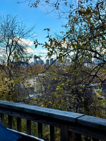 a view of a tree in a balcony