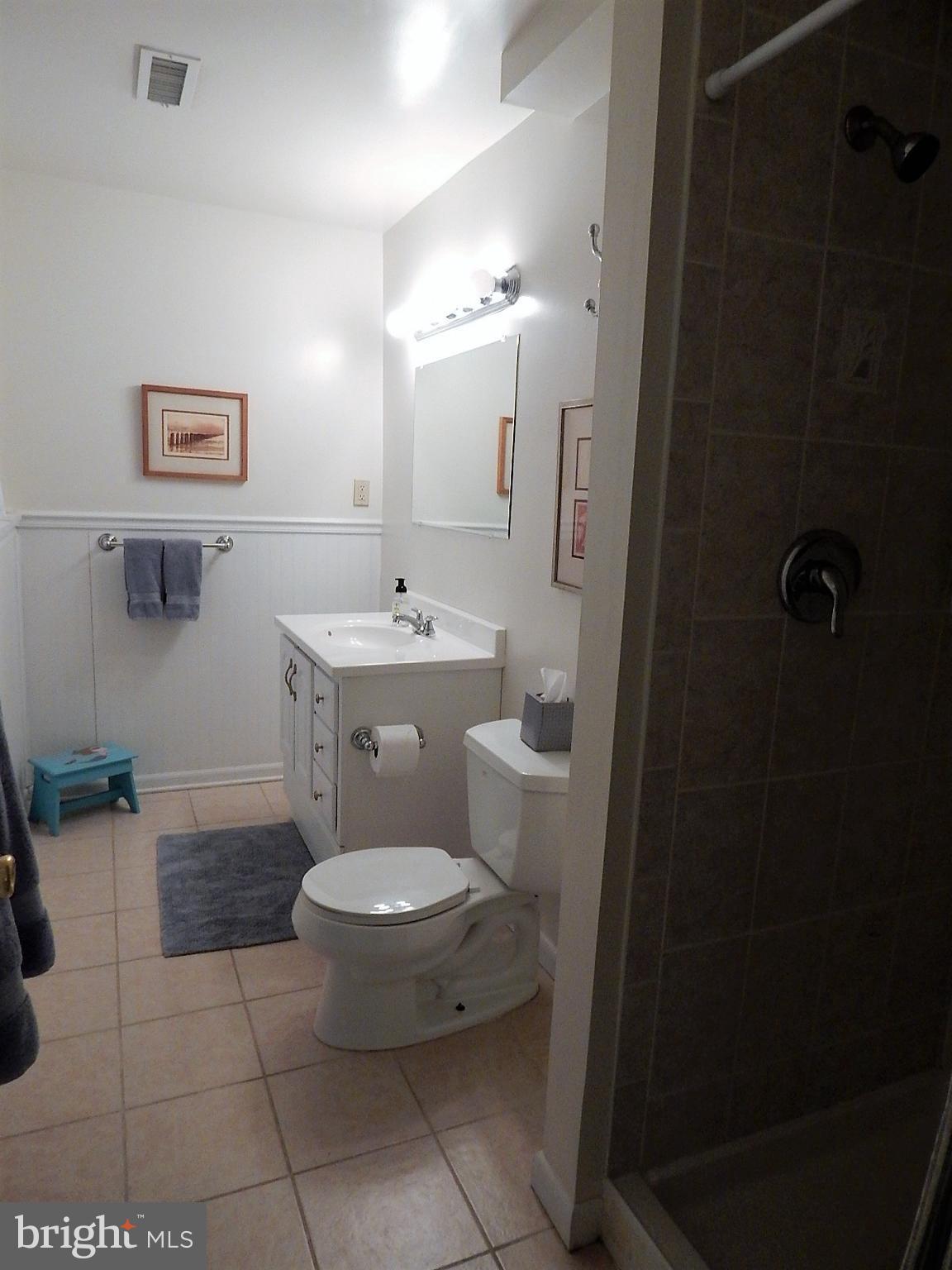 8703 Bradgate Road Alexandria, VA 22308 - Photo 19 of 23 Basement Bathroom