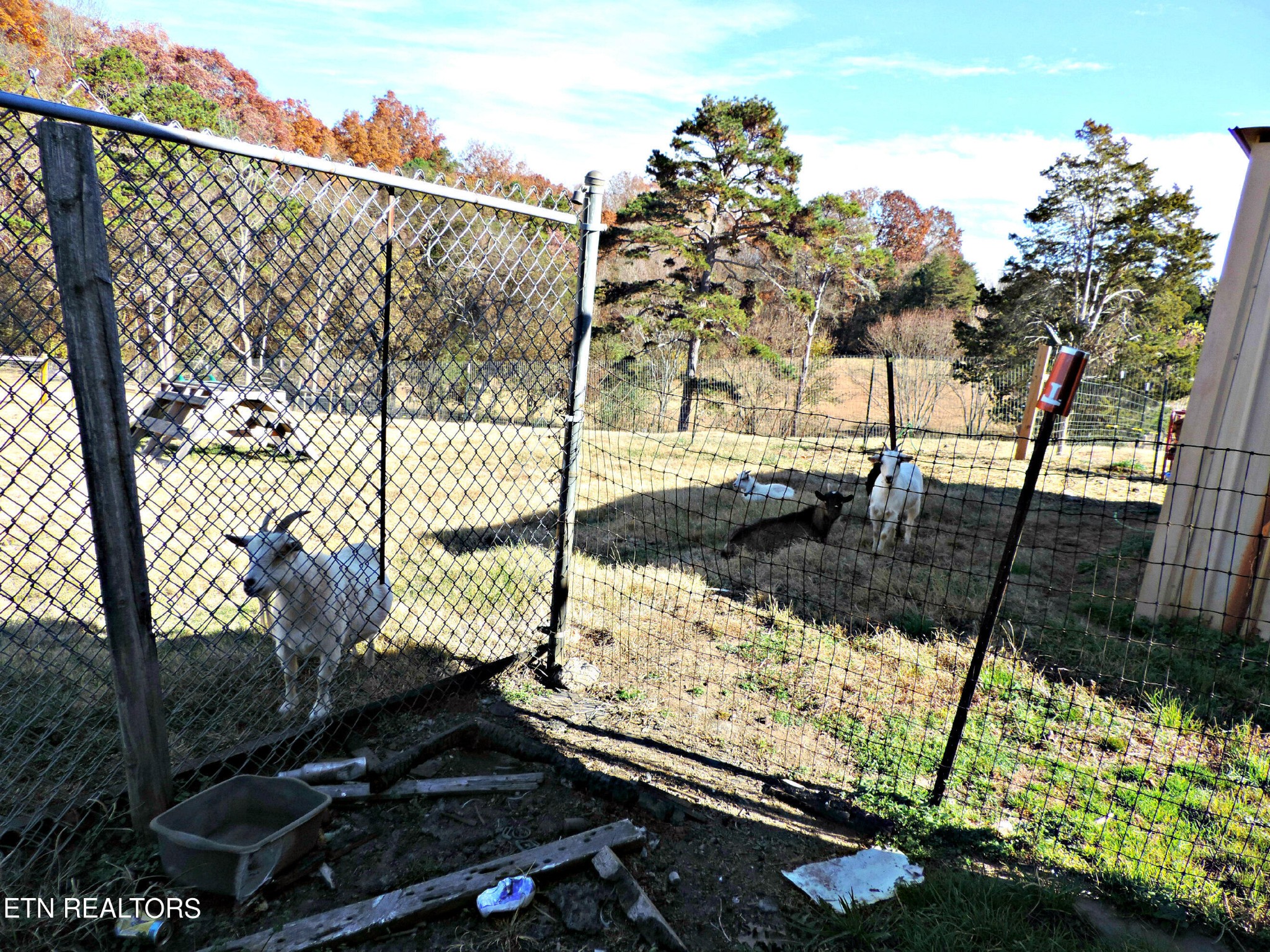 3380 Blue Springs Road Strawberry Plains, TN 37871 - Photo 36 of 40 Gallery Image 36