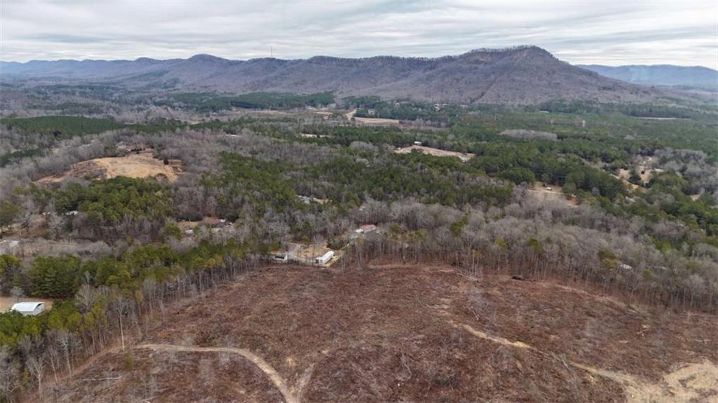 557 Taliaferro Springs Road Lyerly, GA 30730 - Photo 11 of 15