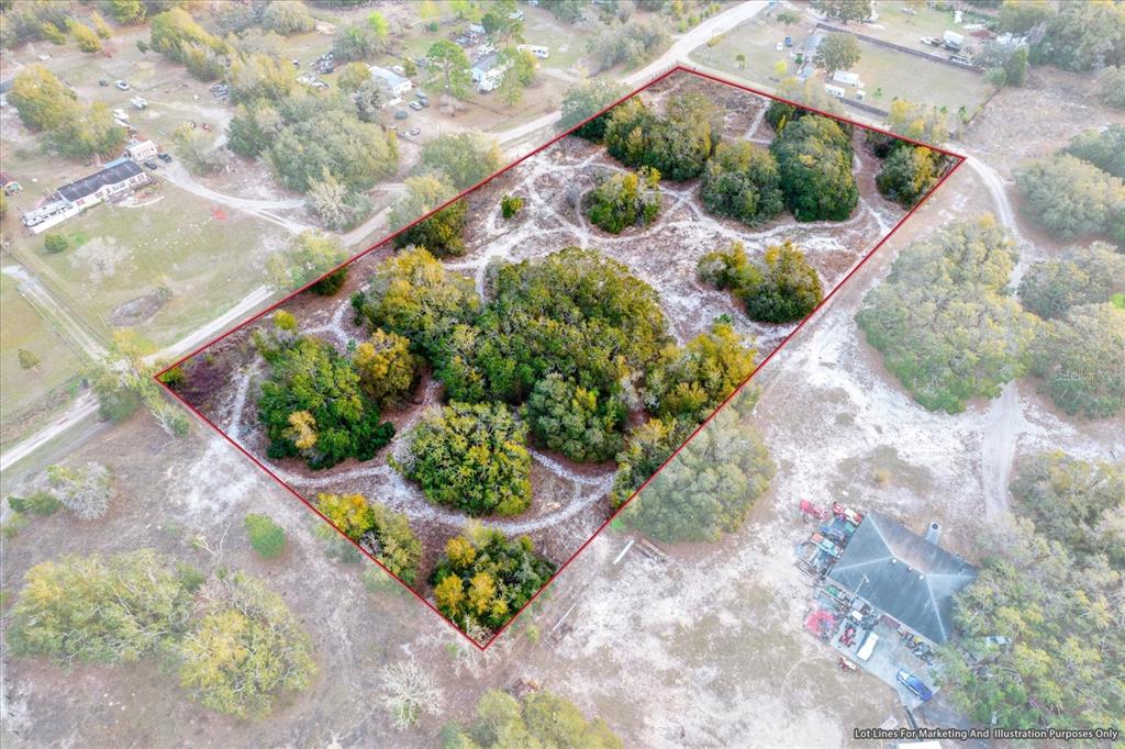 a view of a garden with flowers