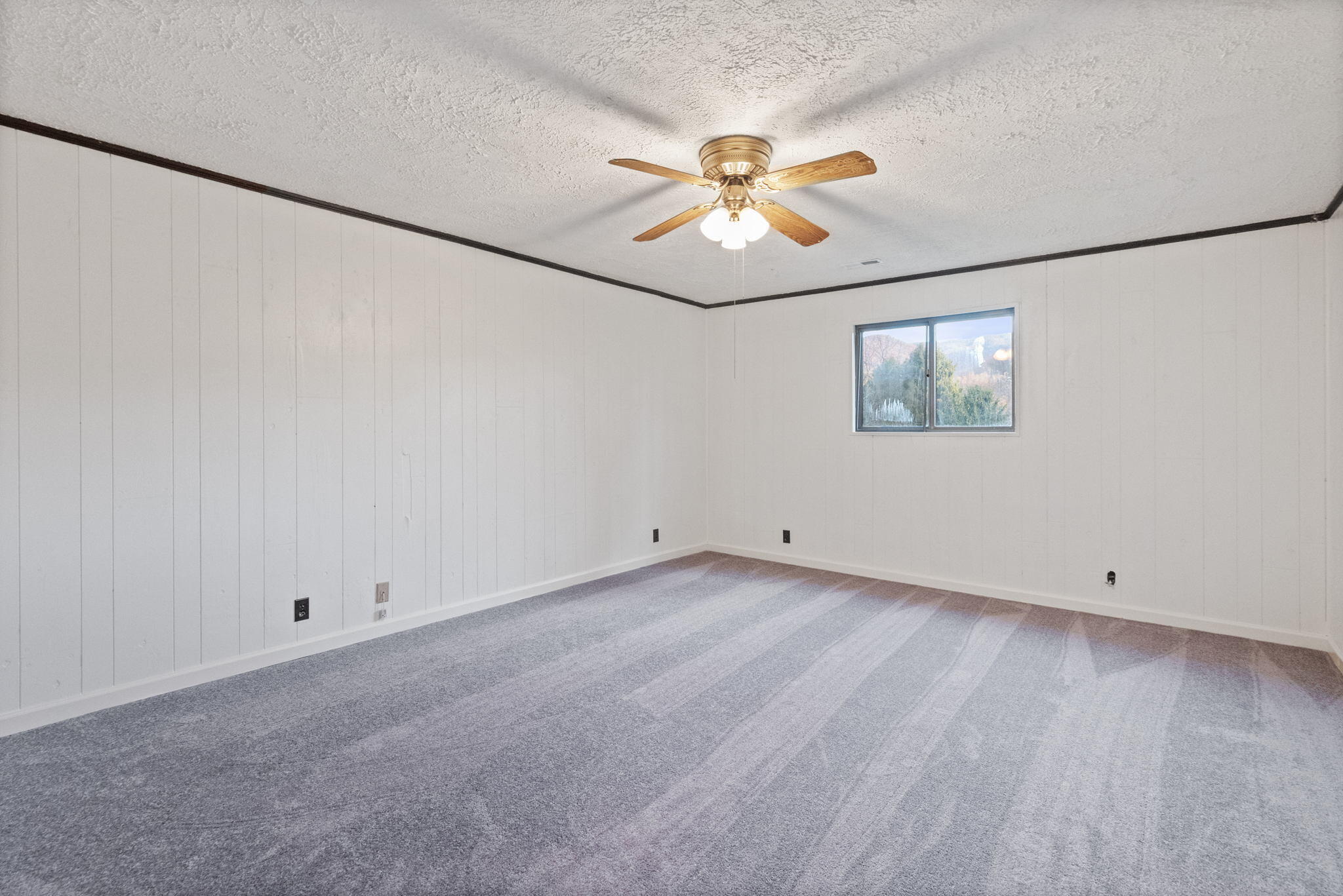 123 Low Gap Road Elizabethton, TN 37643 - Photo 20 of 31 23-web-or-mls-217A0963