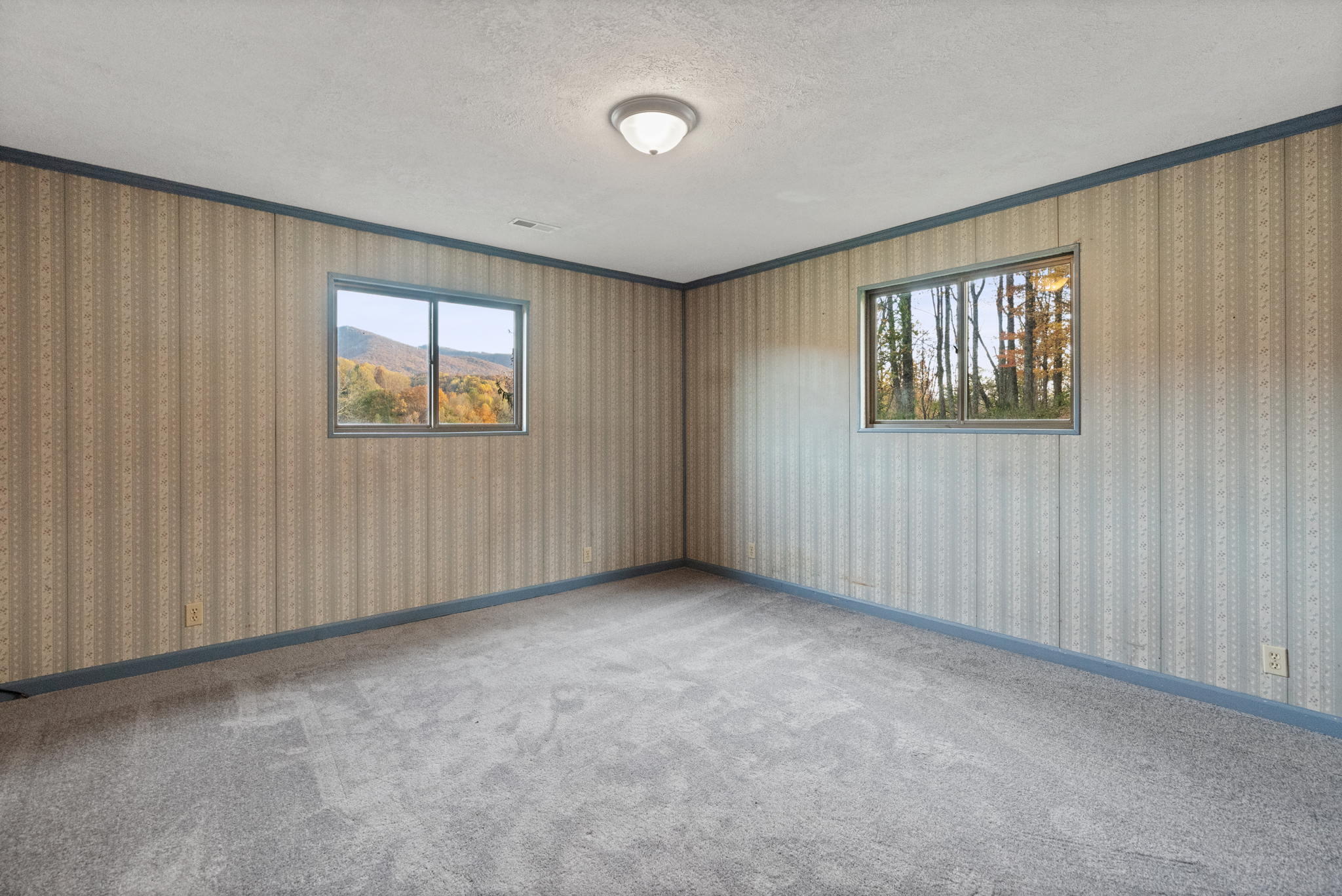 123 Low Gap Road Elizabethton, TN 37643 - Photo 24 of 31 20-web-or-mls-217A0954