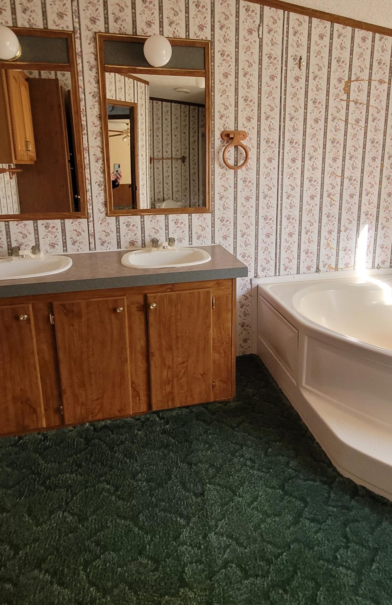 1410 McCreight Road Ridge Spring, SC 29129 - Photo 7 of 10 MASTERBATH1