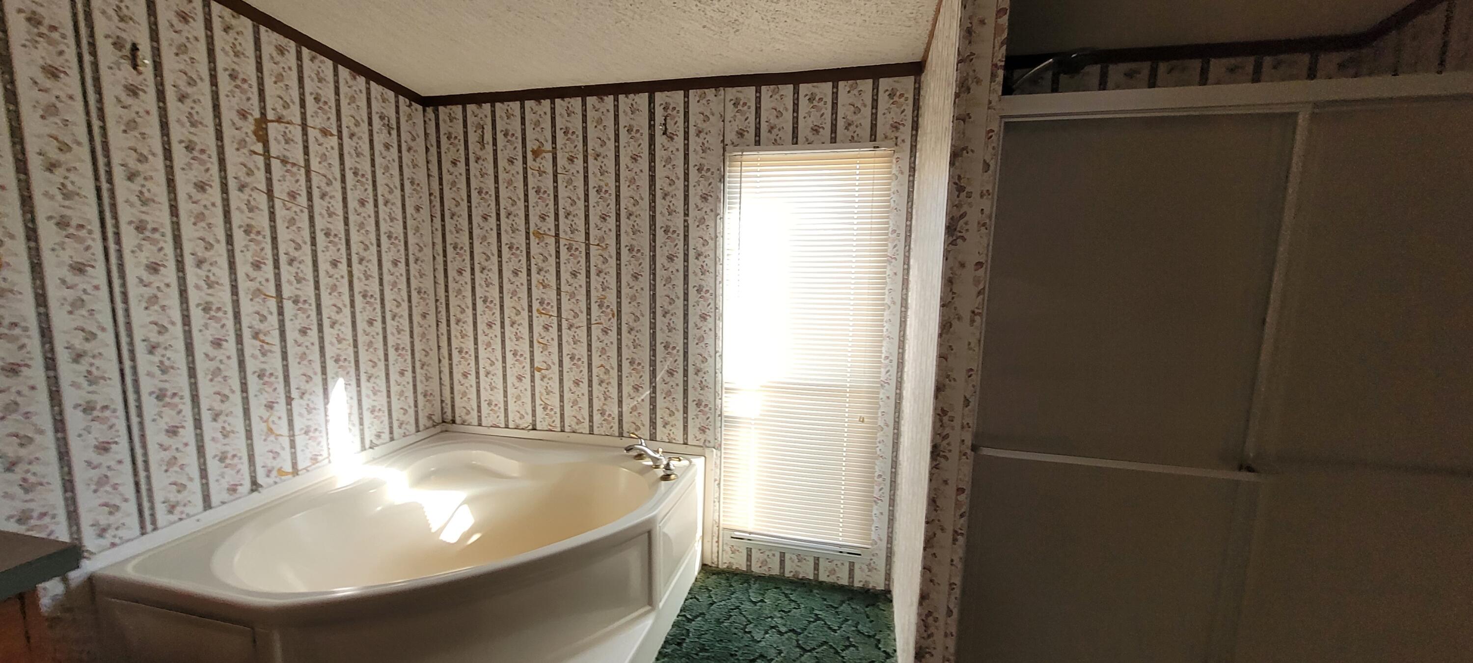 1410 McCreight Road Ridge Spring, SC 29129 - Photo 8 of 10 masterbath2