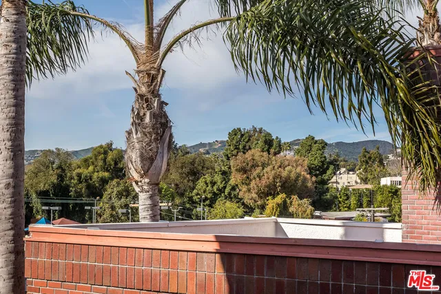a view of a yard and car parked from a window