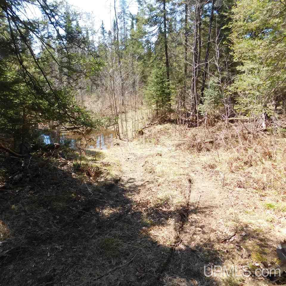 Tbd Off Co Rd 581 Ralph, MI 49877 - Photo 13 of 13