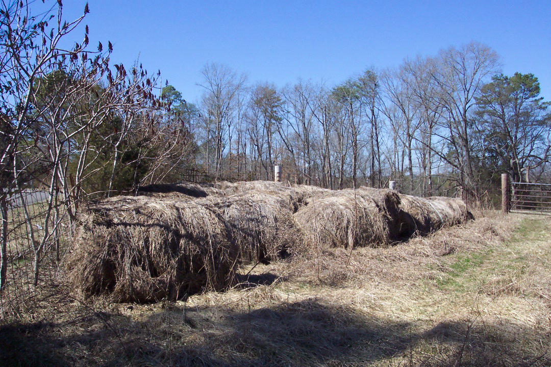 Mt Carmel Decatur, TN 37322 - Photo 2 of 6 102_1547