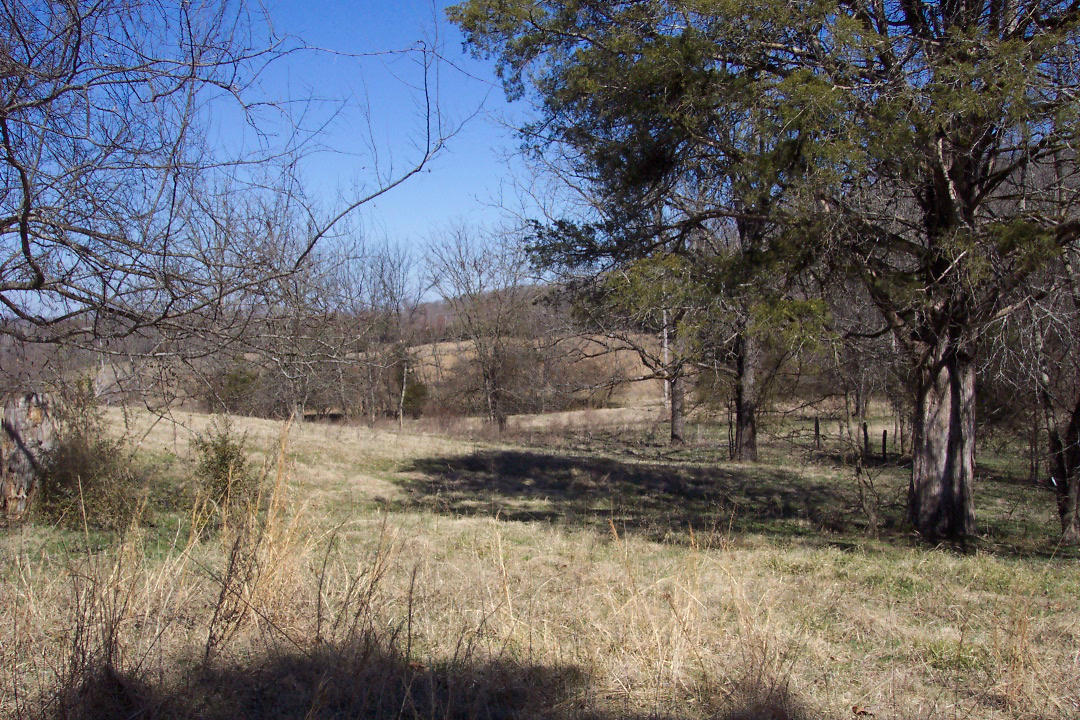Mt Carmel Decatur, TN 37322 - Photo 3 of 6 102_1548