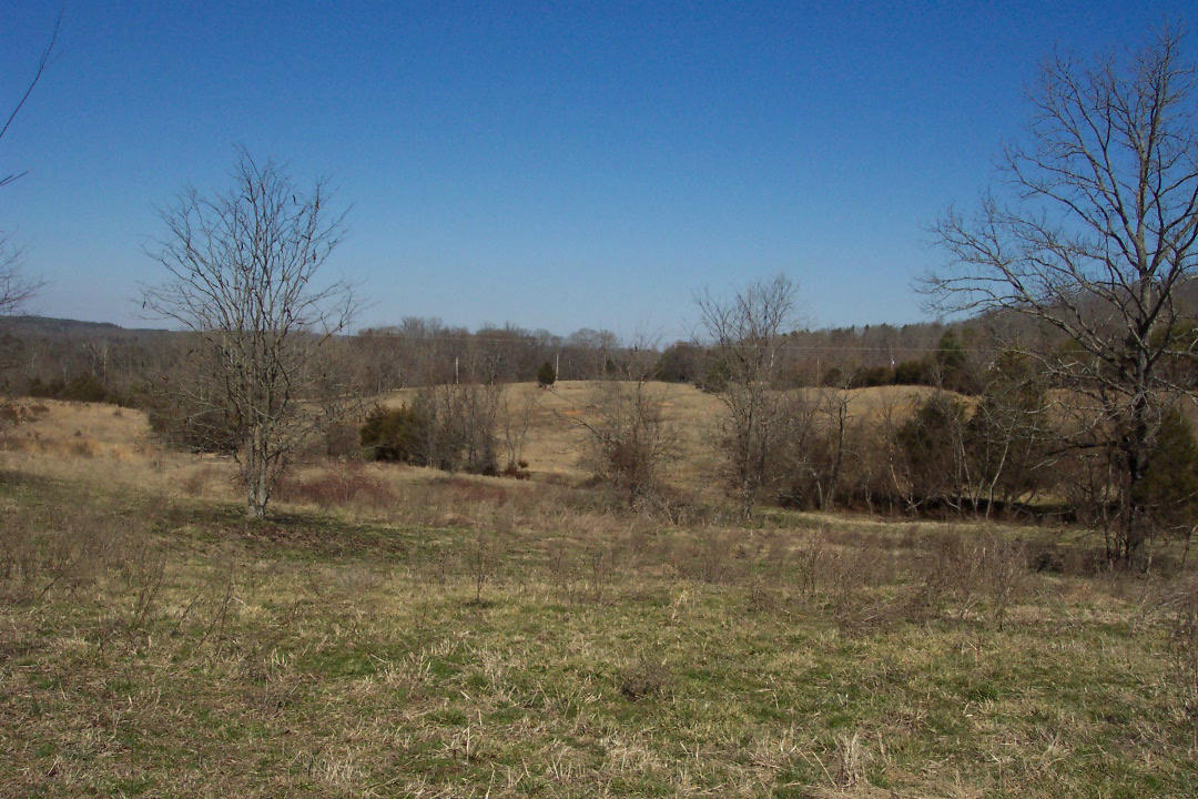 Mt Carmel Decatur, TN 37322 - Photo 4 of 6 102_1551