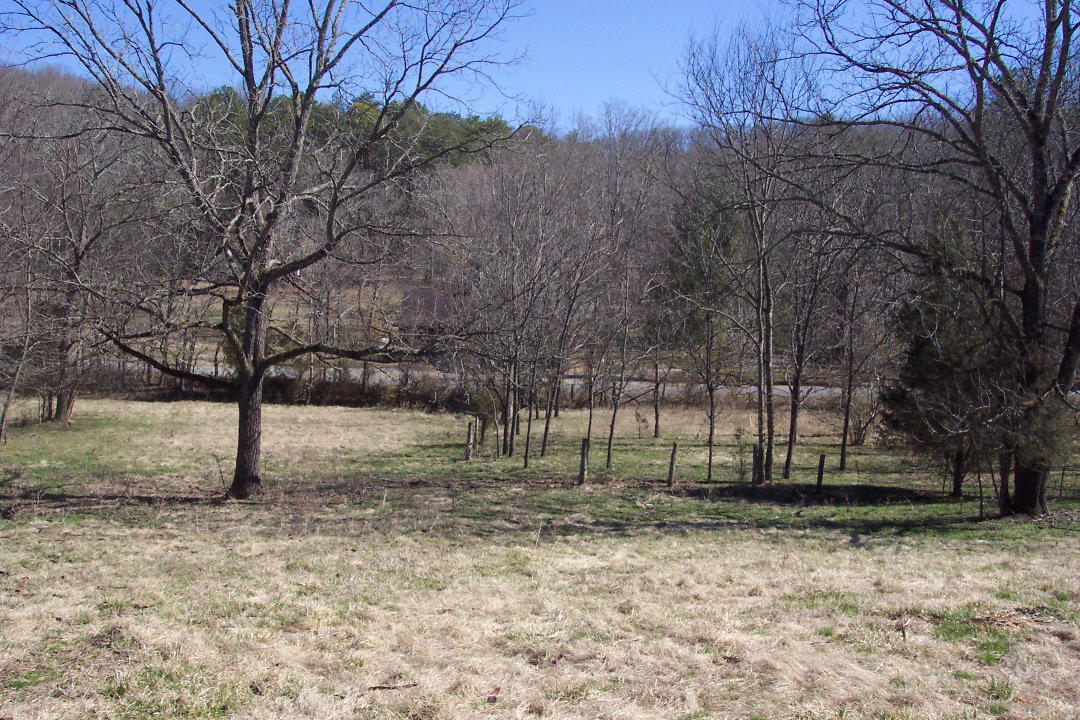 Mt Carmel Decatur, TN 37322 - Photo 5 of 6 102_1552
