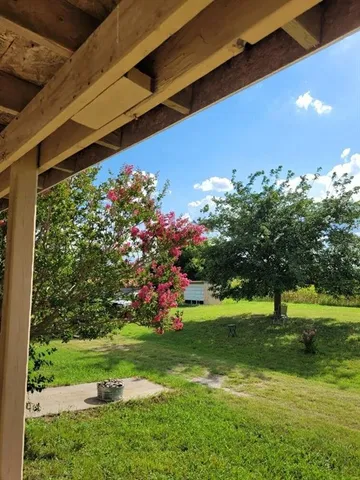 a backyard of a house with plants and tree