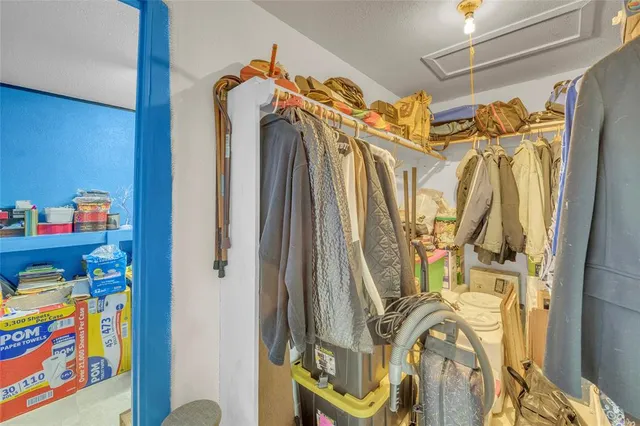 a view of a dry yard