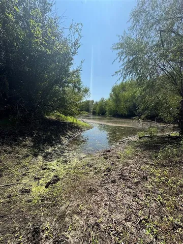 a view of a yard with plants and a tree