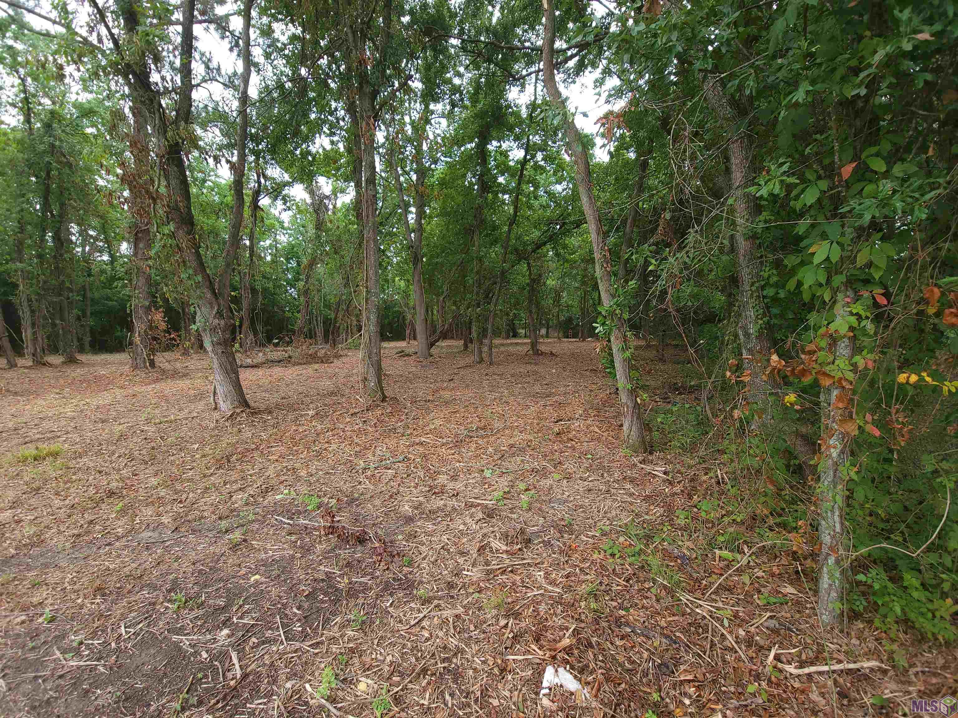 Lot 55 Progress Road Baton Rouge, LA 70807 - Photo 1 of 3 Gallery Image 1