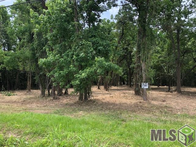 Lot 55 Progress Road Baton Rouge, LA 70807 - Photo 2 of 3 Gallery Image 2