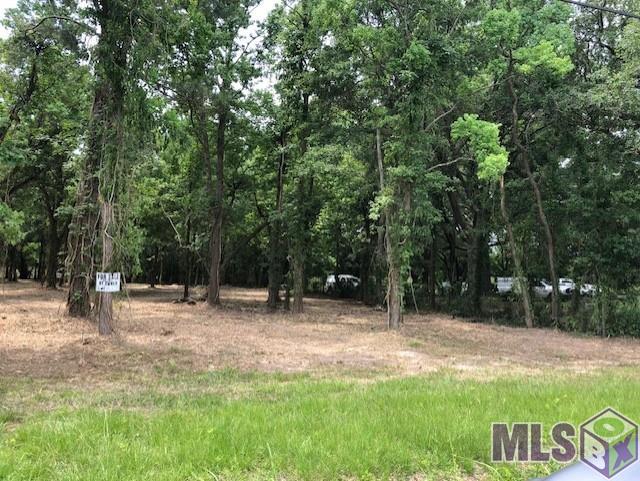 Lot 55 Progress Road Baton Rouge, LA 70807 - Photo 3 of 3 Gallery Image 3