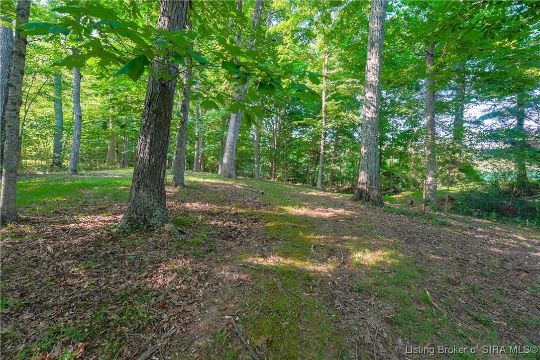 5226 Buck Creek Road Floyds Knobs, IN 47119 - Photo 38 of 39
