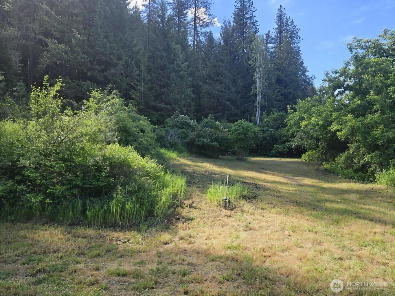 1612 Rickey Canyon Road Kettle Falls, WA 99141 - Photo 31 of 36