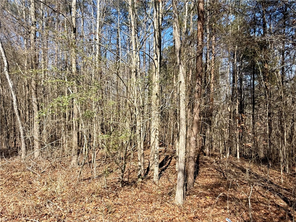 0 Friendship Loop Drive Seneca, SC 29678 - Photo 1 of 25 This scenic wooded property offers ample privacy and natural beauty, ideal for your dream home.