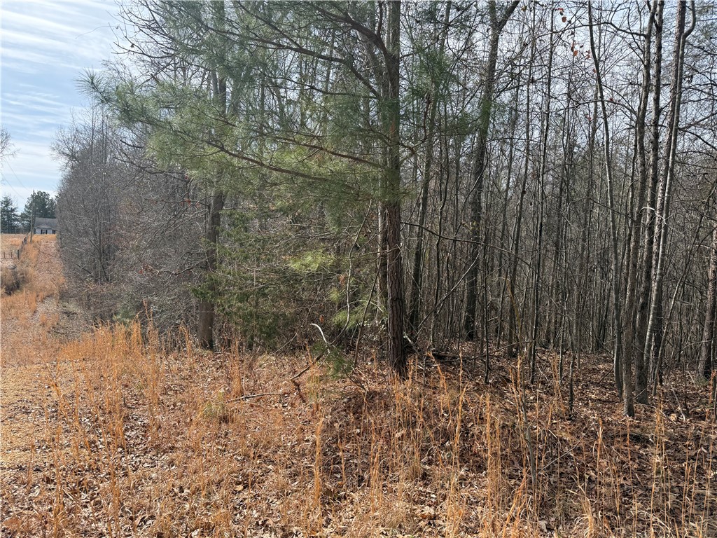 0 Friendship Loop Drive Seneca, SC 29678 - Photo 12 of 25 This expansive lot offers a tranquil setting with natural tree cover, ready for your vision.