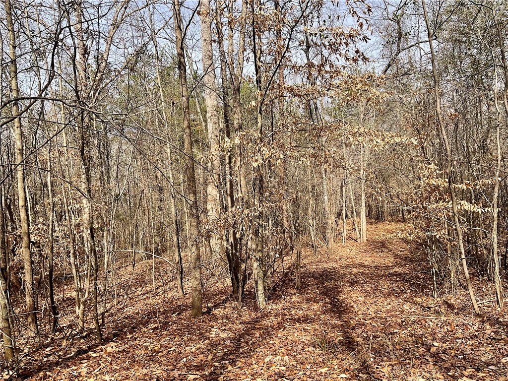 0 Friendship Loop Drive Seneca, SC 29678 - Photo 13 of 25 This secluded wooded lot offers a tranquil escape, perfect for nature lovers seeking privacy.