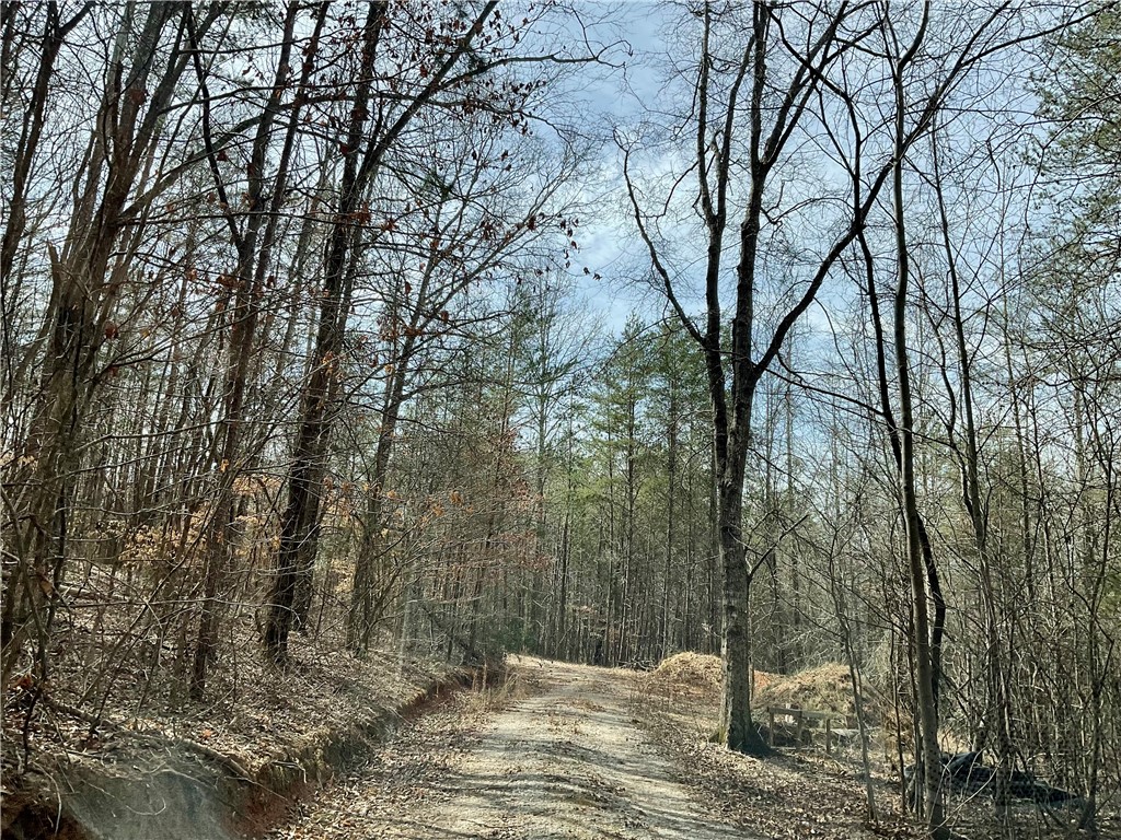 0 Friendship Loop Drive Seneca, SC 29678 - Photo 15 of 25 This tranquil wooded property offers a serene natural setting, perfect for a peaceful retreat.