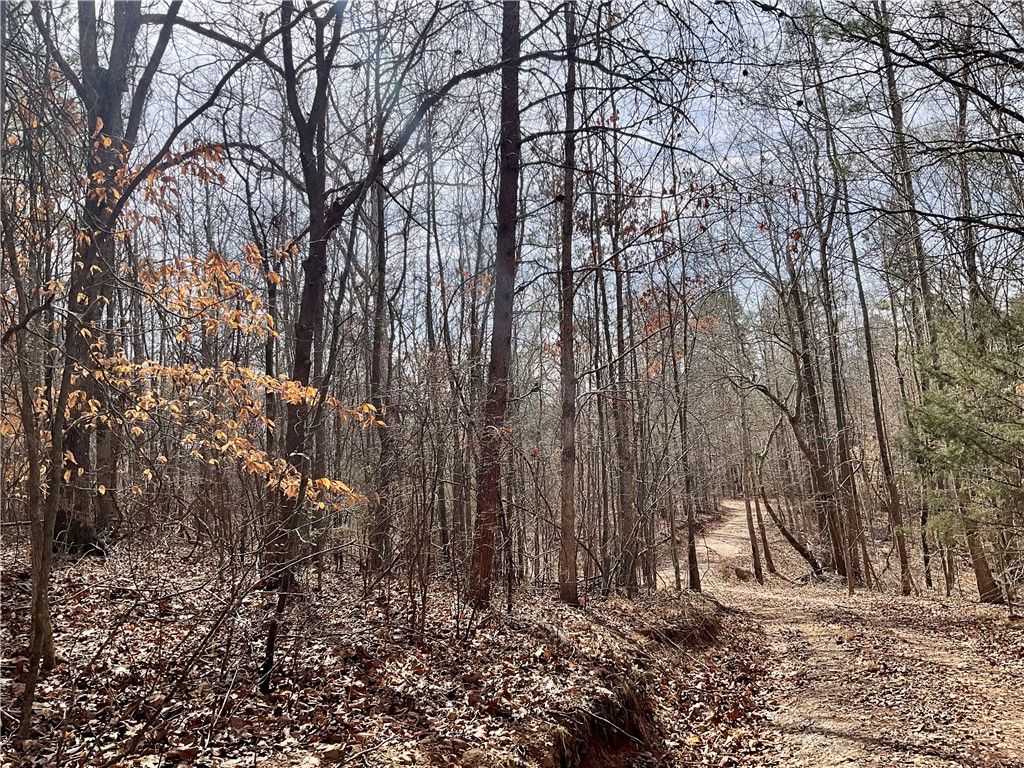 0 Friendship Loop Drive Seneca, SC 29678 - Photo 16 of 25 A tranquil wooded path invites exploration and offers serene natural beauty.
