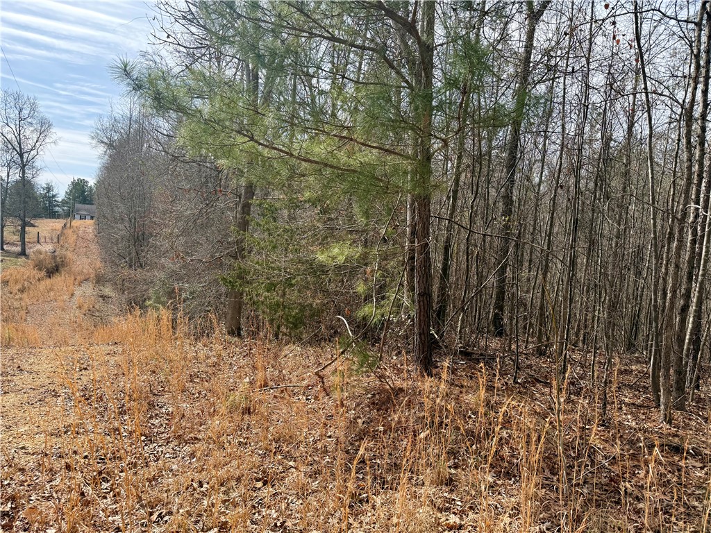 0 Friendship Loop Drive Seneca, SC 29678 - Photo 17 of 25 This expansive lot offers a tranquil, natural setting with abundant trees.