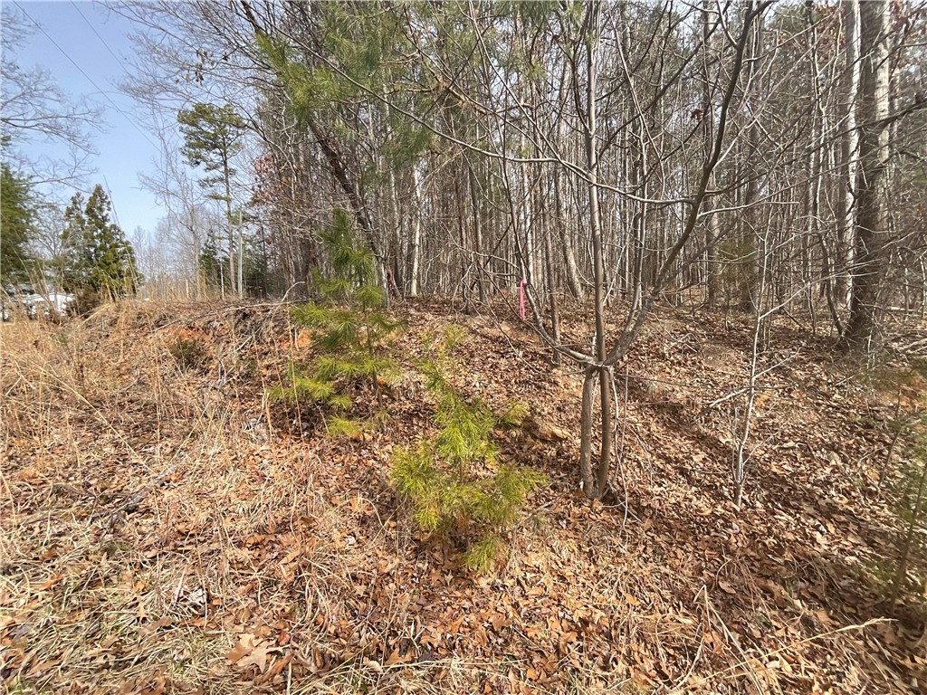 0 Friendship Loop Drive Seneca, SC 29678 - Photo 18 of 25 Mature trees and natural landscaping create a serene, private setting.